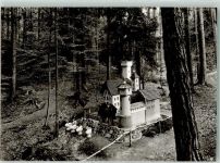64739 W6128 Höchst i Odw Foto AK Märchenland Obrunnschlucht Schwanenschloss