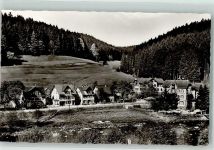 72270 W7292 Schönmünzach Foto AK