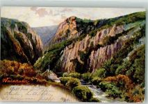06502 O4308 Thale 1902 Lithographie / Künstlerkarte Gasthaus Waldkater