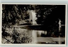 65307 W6208 Bad Schwalbach Foto AK Kurpark