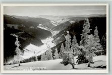 79868 W7828 Feldberg , Schwarzwald Foto AK Winter