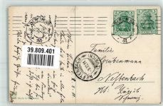 Gänse Winkler u. Voigt 6659 Mailick, A. 1911 Künstlerkarte
