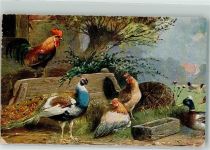 Hühner Pfau Enten Künstlerkarte Geflügel 1920 Gebrauchsspuren