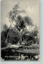 Calcutta Kalkutta - Eden Garden