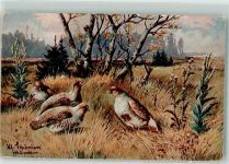 Rebhühner im hohen Gras Jagdtier Künstlerkarte