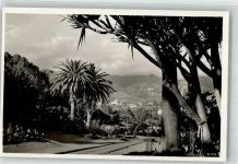 Funchal Foto AK Madeira