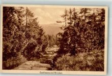Brocken Foto AK Goehteweg