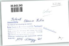 24238 W2319 Selent , Holst FOTO KEINE AK Pension Blaue Lilie Foto Original aus Archiv eines Ansichtskartenverlags