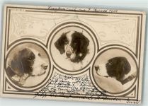 Verlag NPG Serie 22 Nr. 7 Jagdhund 1900 Foto AK