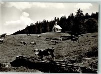 79674 W7868 Todtnauberg Foto AK Kriegergedächtnis-Kapelle