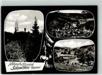 61389 W6384 Schmitten , Taunus - Schwimmbad Grosser Feldberg