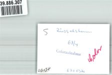 65428 W6090 Rüsselsheim FOTO KEINE AK Ort handschriftlich Foto Original aus Archiv eines Ansichtskartenverlags
