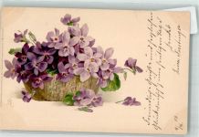 Künstler Postkarte Serie 1160 Veilchensträusse Meissner & Buch 1903 Künstlerkarte