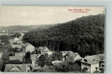 06507 O4302 Bad Suderode 1915 - Am Schwedderholze