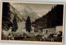 87561 W8980 Oberstdorf - Im Oytal Kuhherde