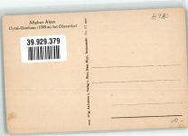 87561 W8980 Oberstdorf - Im Oytal Kuhherde