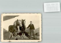 Landwirtschaft Pferd Privatfoto KEINE AK