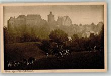 04703 O7320 Leisnig Foto AK Burg Heimatschutz-Postkarte