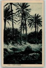 Nr. 1104 Dans Oasis Motiv Tunesien