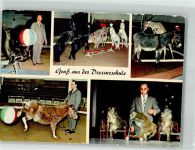 W2000 Stellingen Seehund Zebras Affen Esel Dressur Zoo Foto AK