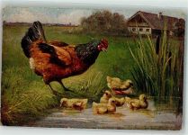 sign. Müller HKM Serie 366 Huhn 1918 Künstlerkarte
