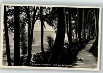 23629 W2401 Scharbeutz 1934 - Weg im Kammerwald