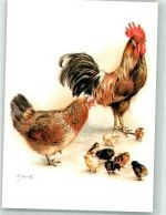 Hahn sign. Gauck Huhn Künstlerkarte