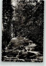 69514 W6947 Laudenbach , Bergstr Foto AK Wasserfall Mühlweg