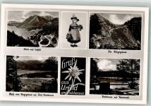 82431 W8111 Urfeld , Oberbay Foto AK Rathaus Walchensee Edelsweiß