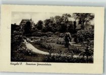 7255 Hengelo 1937 Foto AK Rosarium