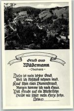 38709 W3391 Wildemann Foto AK Gruß aus