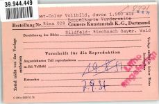 94269 W8371 Rinchnach FOTO KEINE AK Ort handschriftlich Foto Original aus Archiv eines Ansichtskartenverlags
