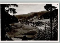 72270 W7292 Schönmünzach Foto AK mit Hotel Waldhorn im Murgtal