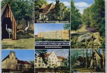 29664 W3030 Walsrode - Forsthaus , Tierpark