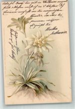 Edelweiß Serie No. 1061 Meissner & Buch 1900