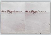 Ouargla - Stereofoto, Oase Touggourt, Am Wüstenrande