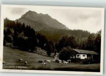 83730 W8165 Birkenstein - Schwaigeralm Kühe