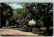 96450 W8630 Coburg 1911 - Blick vom Hofgarten zum Schloss Callenberg