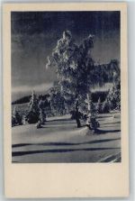 38100 W3300 Braunschweig - Notopfer, Verschneite Landschaft Ort lt. Stempel AKU1