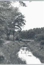 30823 W3008 Osterwald O. E. - Fotoabzug