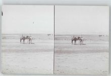 Constantine - Stereofoto, In der Sahara, Lehmboden, Kamel, Sahara-Atlas