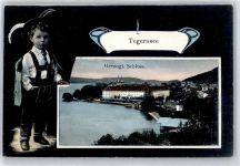 83684 W8180 Tegernsee - Schloss verziert