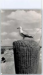 26465 W2941 Langeoog - Möwe AKU1
