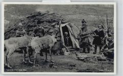 Hammerfest - Lappefamilie, Rentier