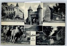 48249 W4408 Dülmen - Gymnasium , Rathaus