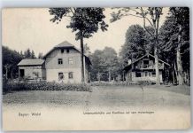 93413 W8490 Cham , Oberpf 1906 - Unterkünfte und Forsthaus auf dem Hohenbogen