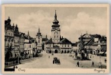 Zatec Saaz