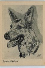 Schäferhund Künstlerkarte