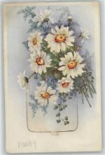 Amay - Leporello, Blumen