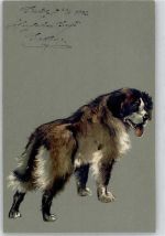 Hund 1902 Prägedruck